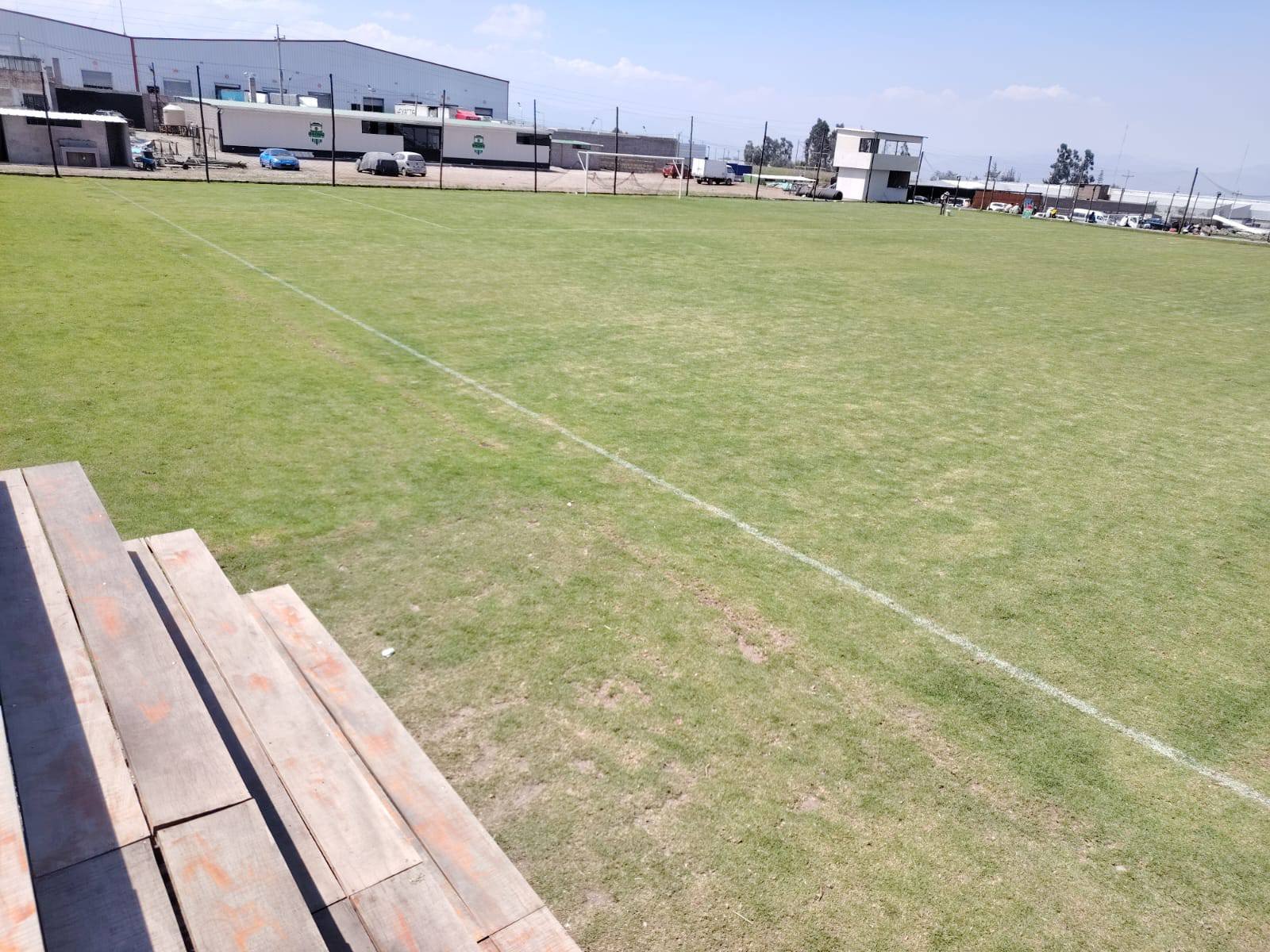 Campo de Grass Natural